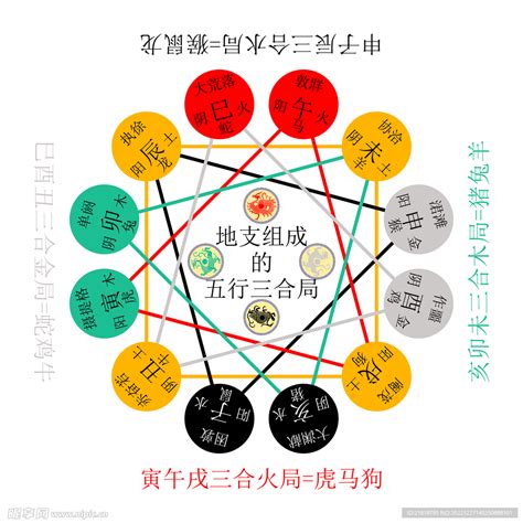 卯屬性|十二地支五行屬性 